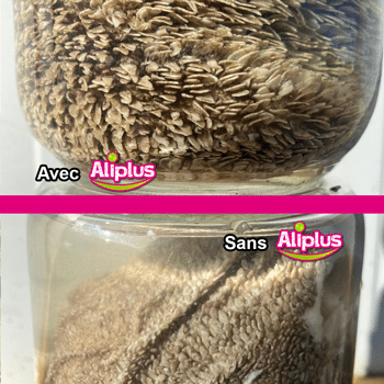 241120 comparaison rumen france aliplus