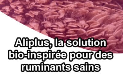 Aliplus : Stimulez la rumination dès les premiers jours