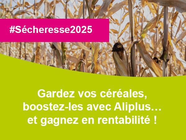 2508 secheresse 2025 garder vos cereales