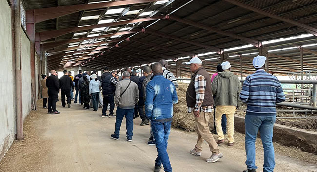 visite-ferme-aliplus-France visite ferme aliplus france